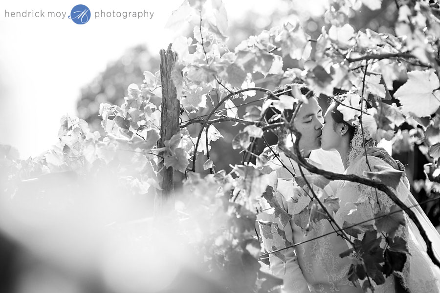 Benmarl Winery wedding Marlboro NY Photography hendrick moy