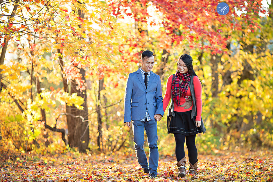 autumn fall engagement pictures hudson valley ny