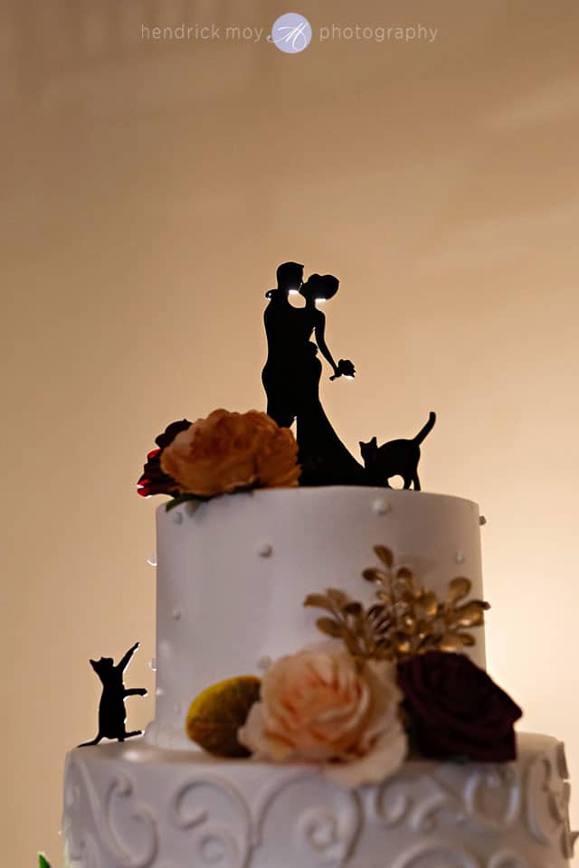 wedding photography cake