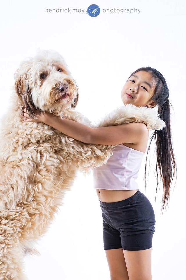 ny pet photographers dogs